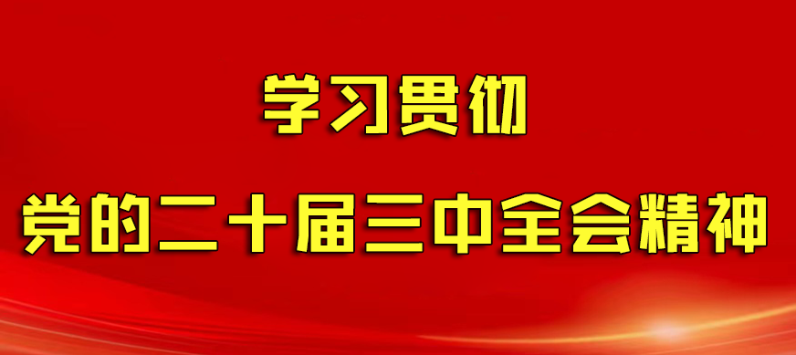 学习贯彻党的二十届三中全会精神
